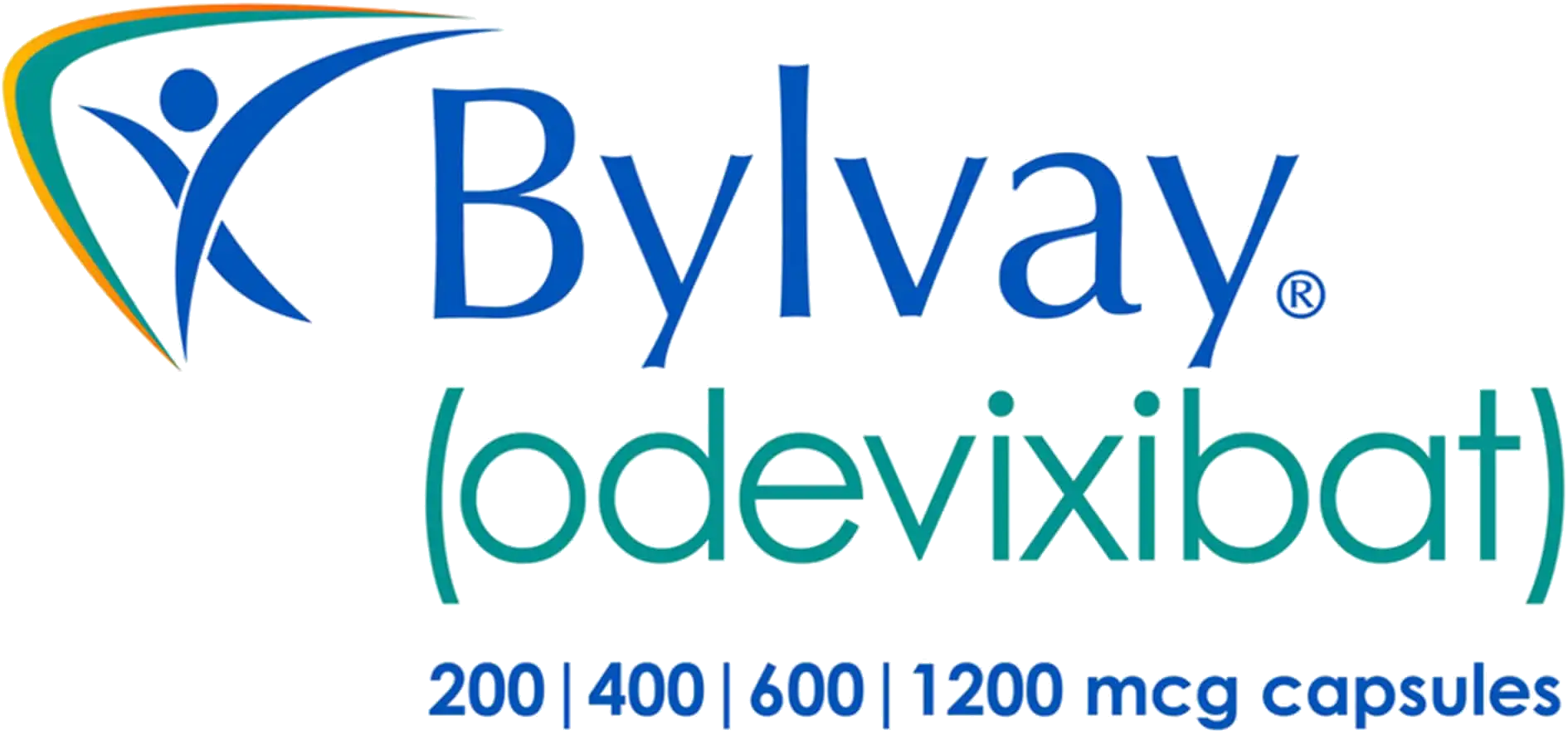 banner logo